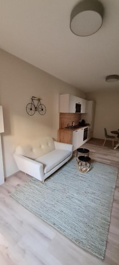 Les Coursives Appartements Mâcon Eksteriør bilde